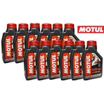 Motul Snowpower 4T (Hel kartong) 1L/4L